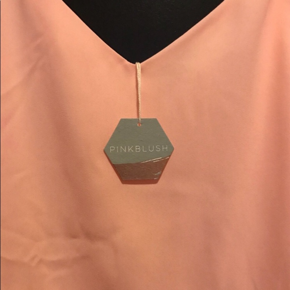 Pink Blush 2 tier dress